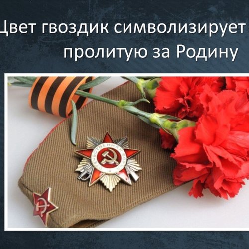 Всероссийский урок Мужества «День Победы»: мы помним, мы гордимся!
