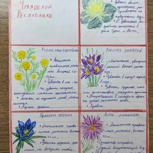🌿 Всемирный день исчезающих видов: наши школьники — за природу!