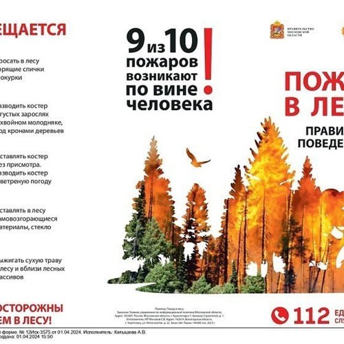 Берегите лес от огня!