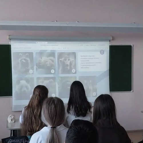 «Россия — мои горизонты»: как в нашей школе выбирают профессию будущего
