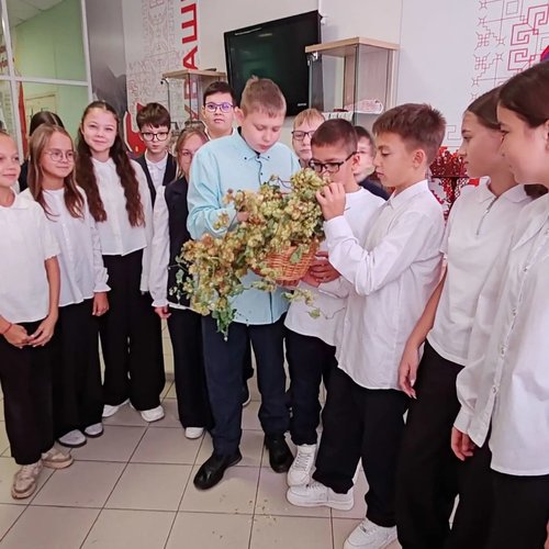 Новости из музея. Зеленое золото Чувашии