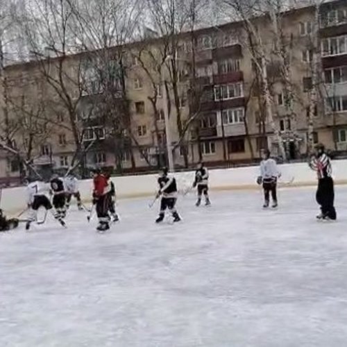 Команда хоккеистов одержала победу!